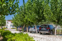 casa vacanze vicino al mare a vieste di Villa Nettuno