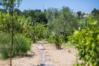 casa vacanze vicino al mare a vieste di Villa Nettuno